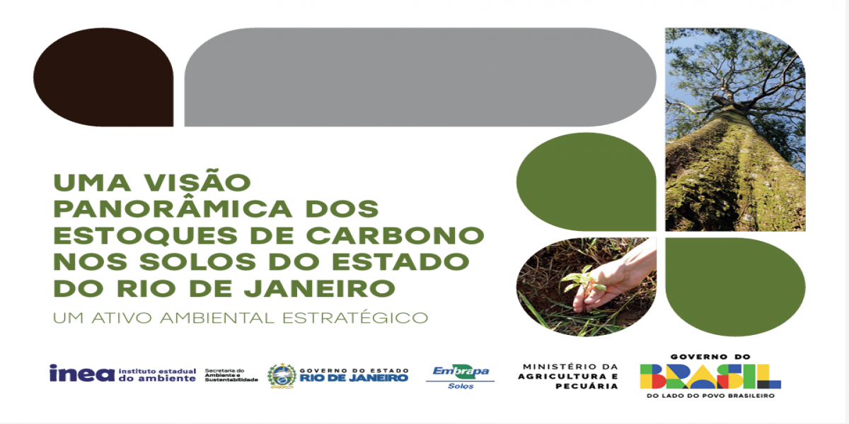 UMA VISÃO PANORÂMICA DOS ESTOQUES DE CARBONO NOS SOLOS DO ESTADO DO RIO DE JANEIRO