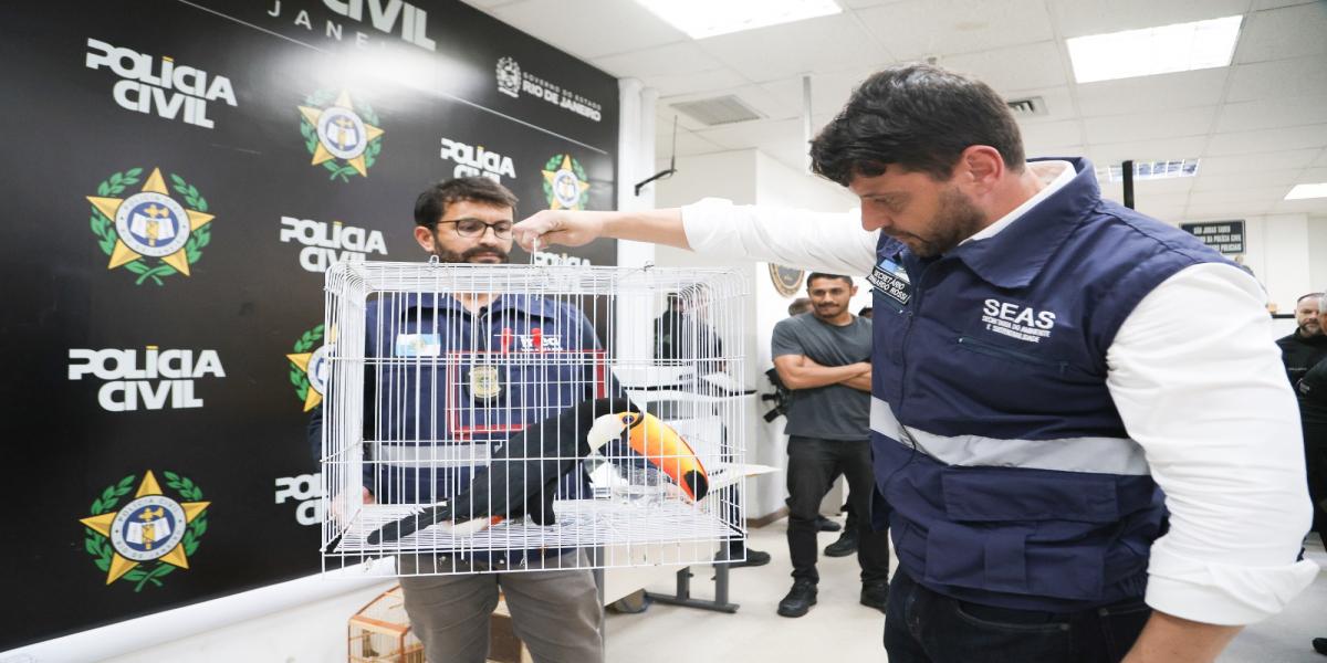 Instituto Estadual do Ambiente atua no resgate de mais de 800 animais silvestres