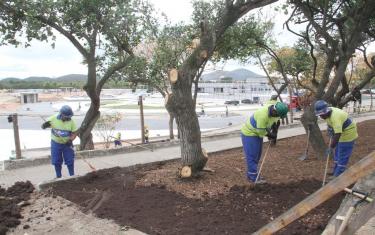 Governo do Estado e Prefeitura iniciam plantio de grama e mudas no Parque RJ