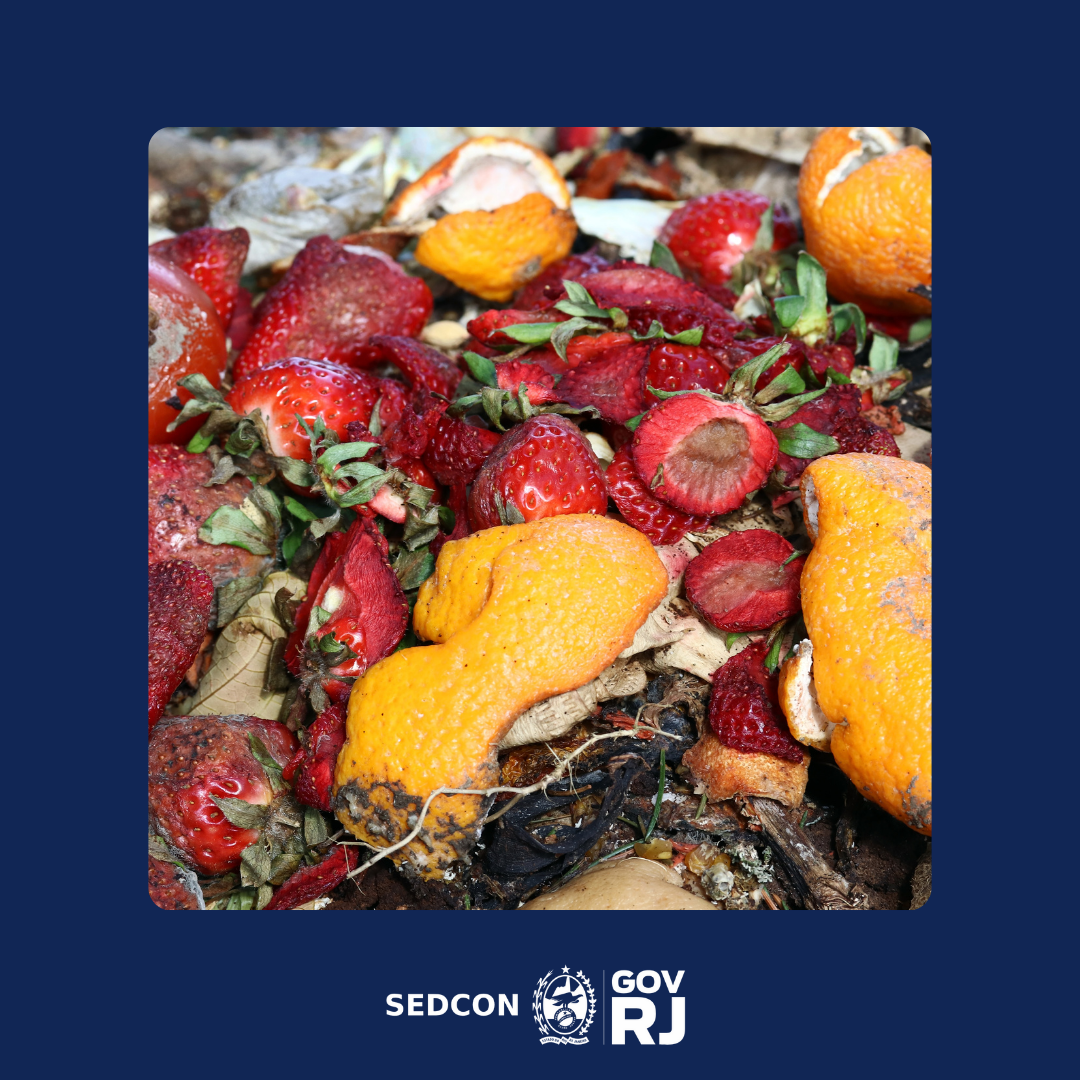 Confraternizações de fim de ano: SEDCON e PROCON-RJ fiscalizam churrascarias para garantir direitos dos consumidores em época festiva