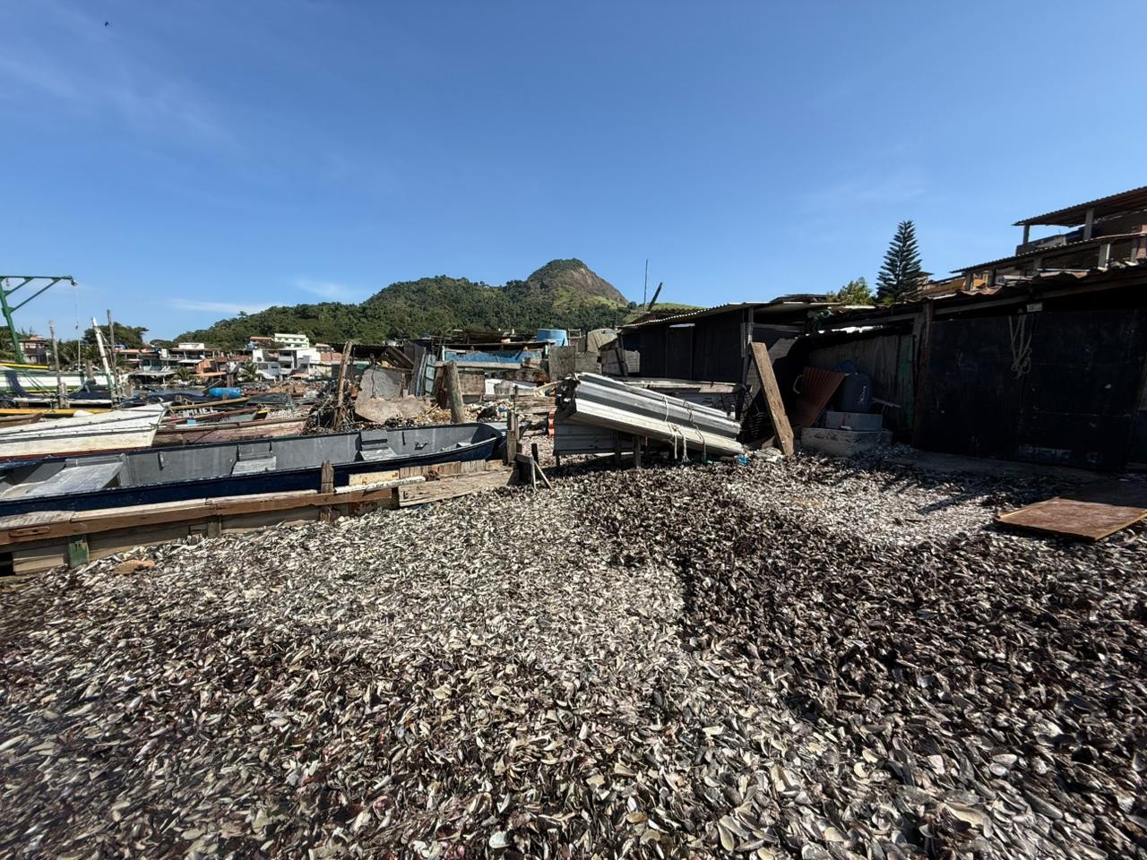Operação do Programa Porto+Seguro identifica aterro irregular na Baía de Guanabara, em Niterói