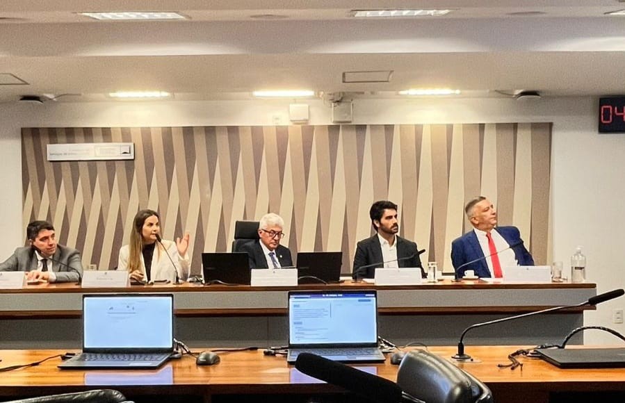 Potencial da energia eólica offshore é debatido em audiência pública no Senado
