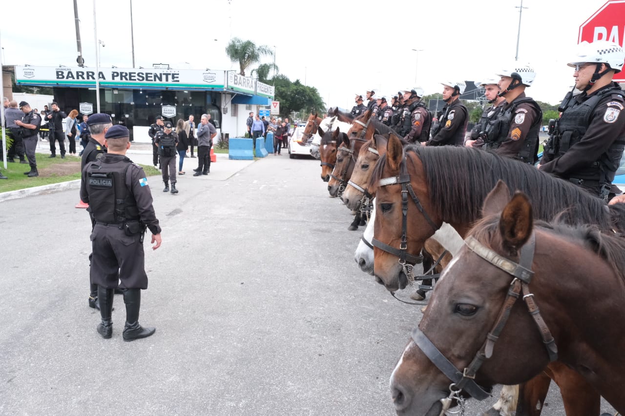 cavalos