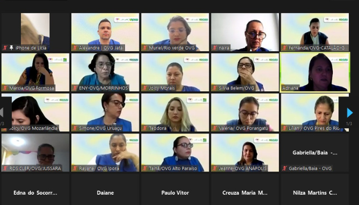 Superintendente estadual da Pessoa Idosa participa de oficina com profissionais de Goiás