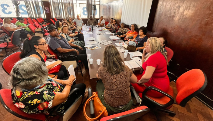 Seijes participa de reunião no Conselho Estadual de Defesa dos Diretos da Pessoa Idosa