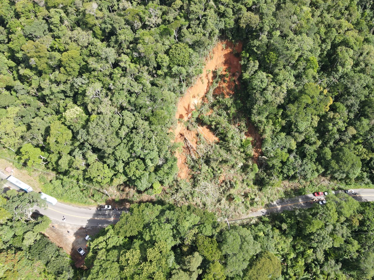 A encosta levou não apenas árvores, mas também a rede elétrica
