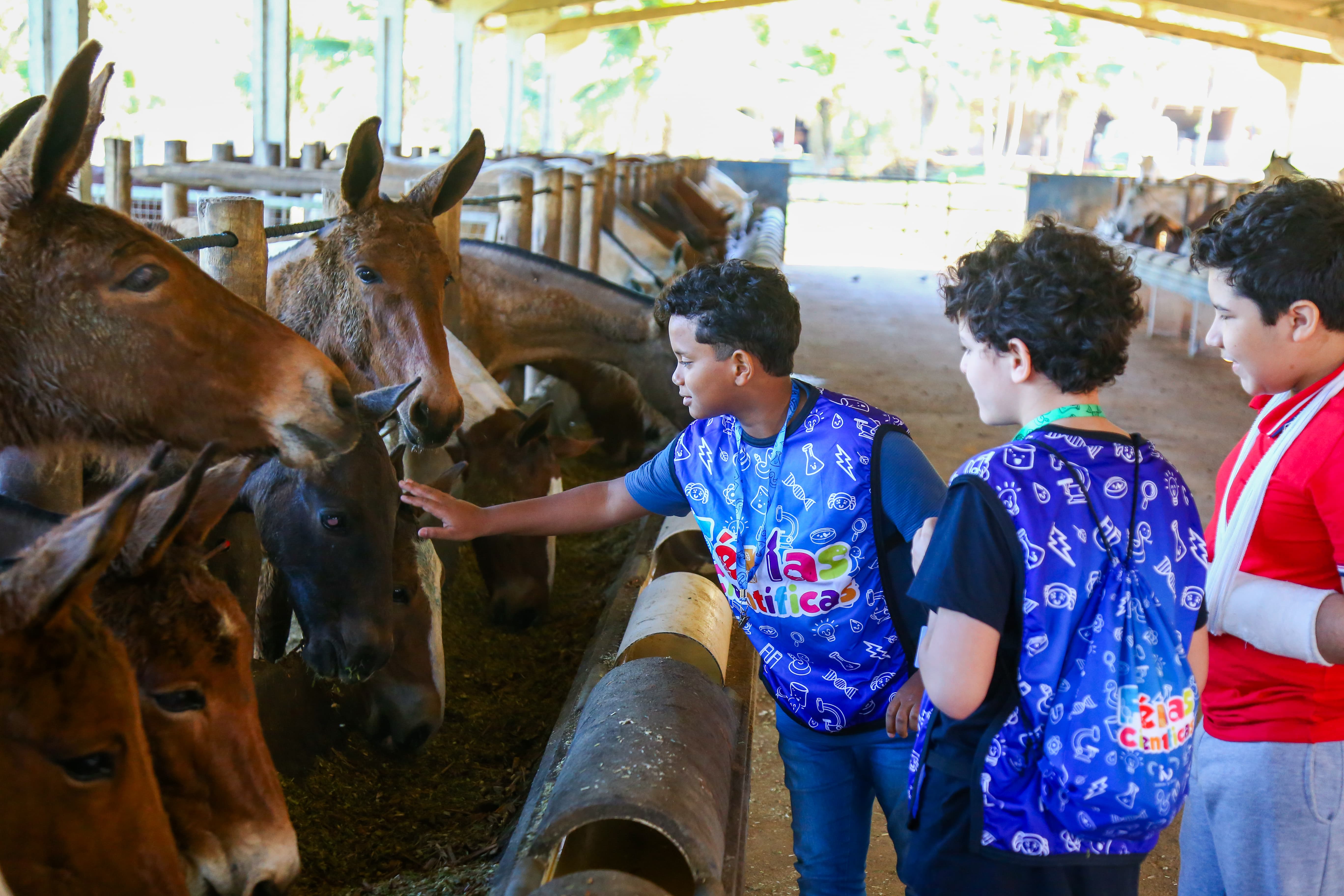 Crianças brincam com animal na Fazenda IVB