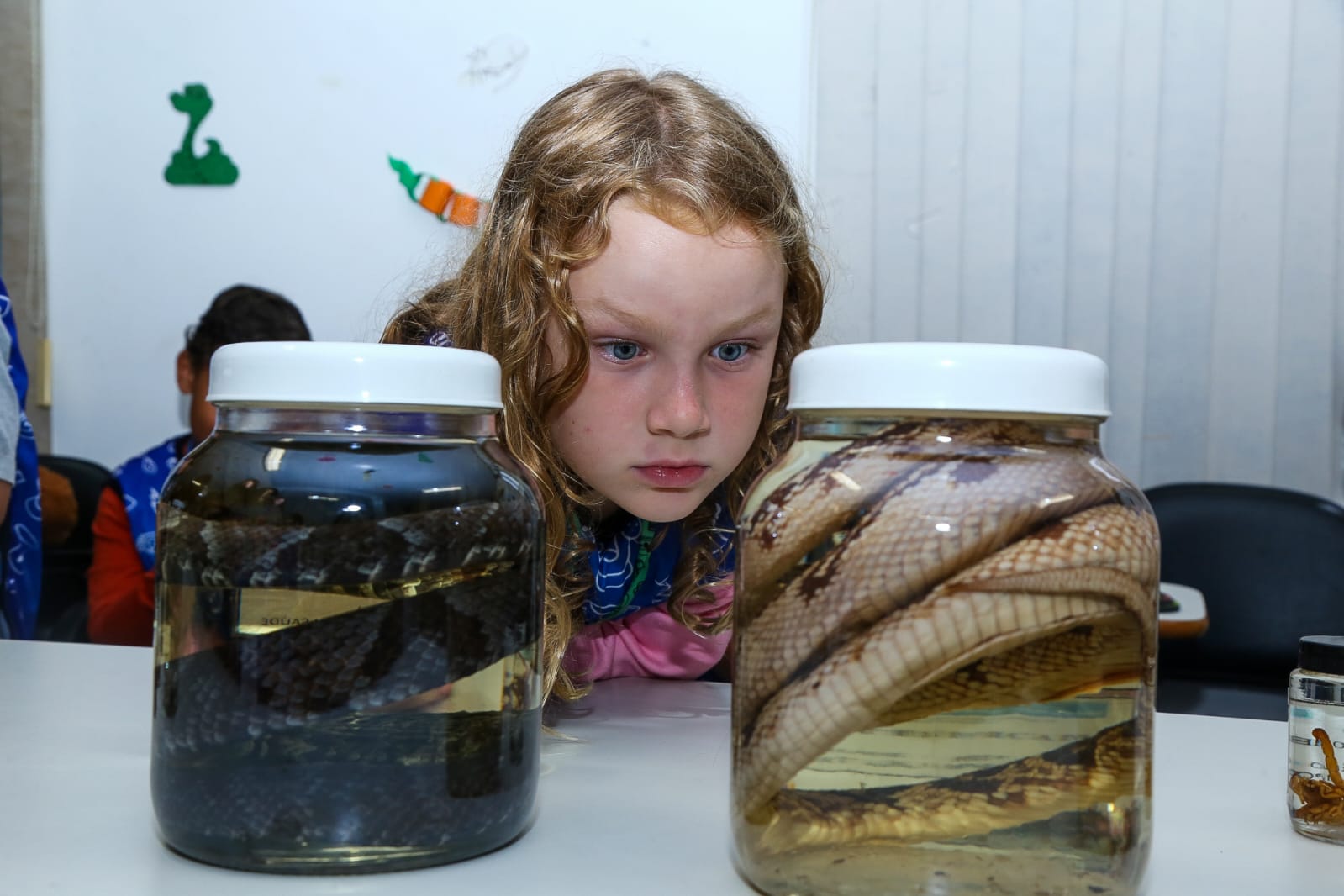 Férias Científicas