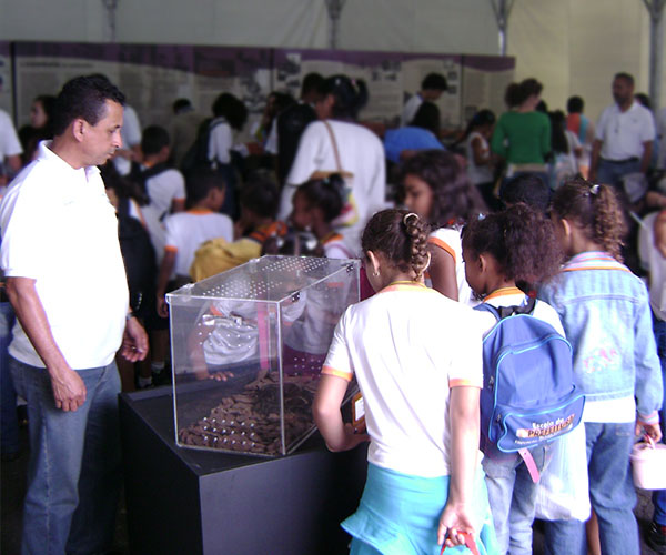 Exposição