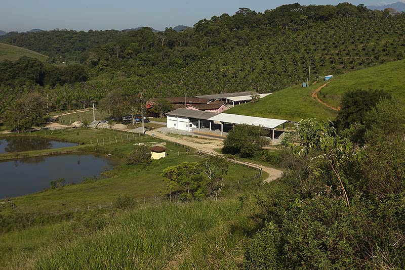 Fazenda