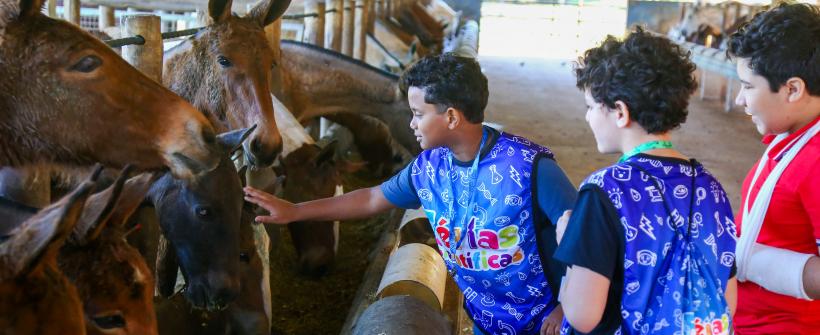 Crianças brincam com animal na Fazenda IVB