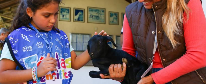 Visita à Fazenda IVB