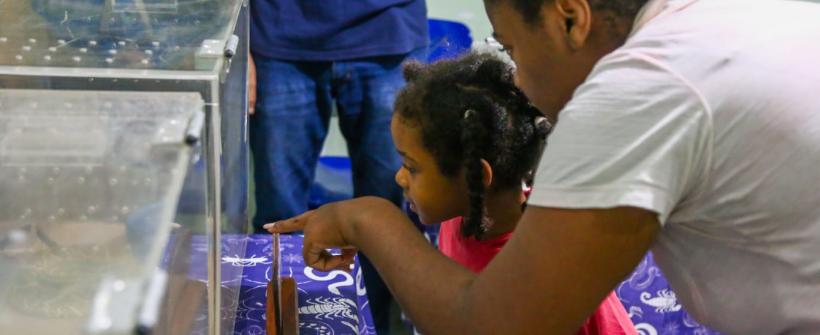 Cobras chamam atenção dos visitantes na 35ª Expo Papucaia
