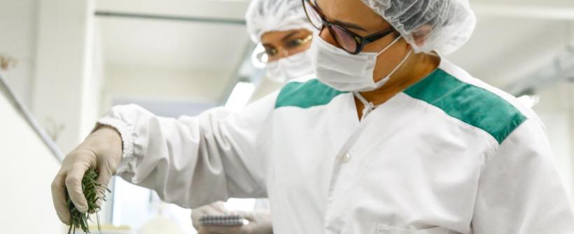Capacitação Farmácia Viva