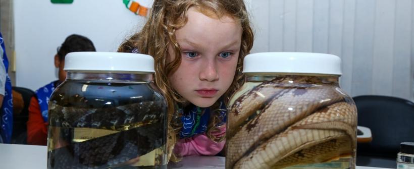 Férias Científicas